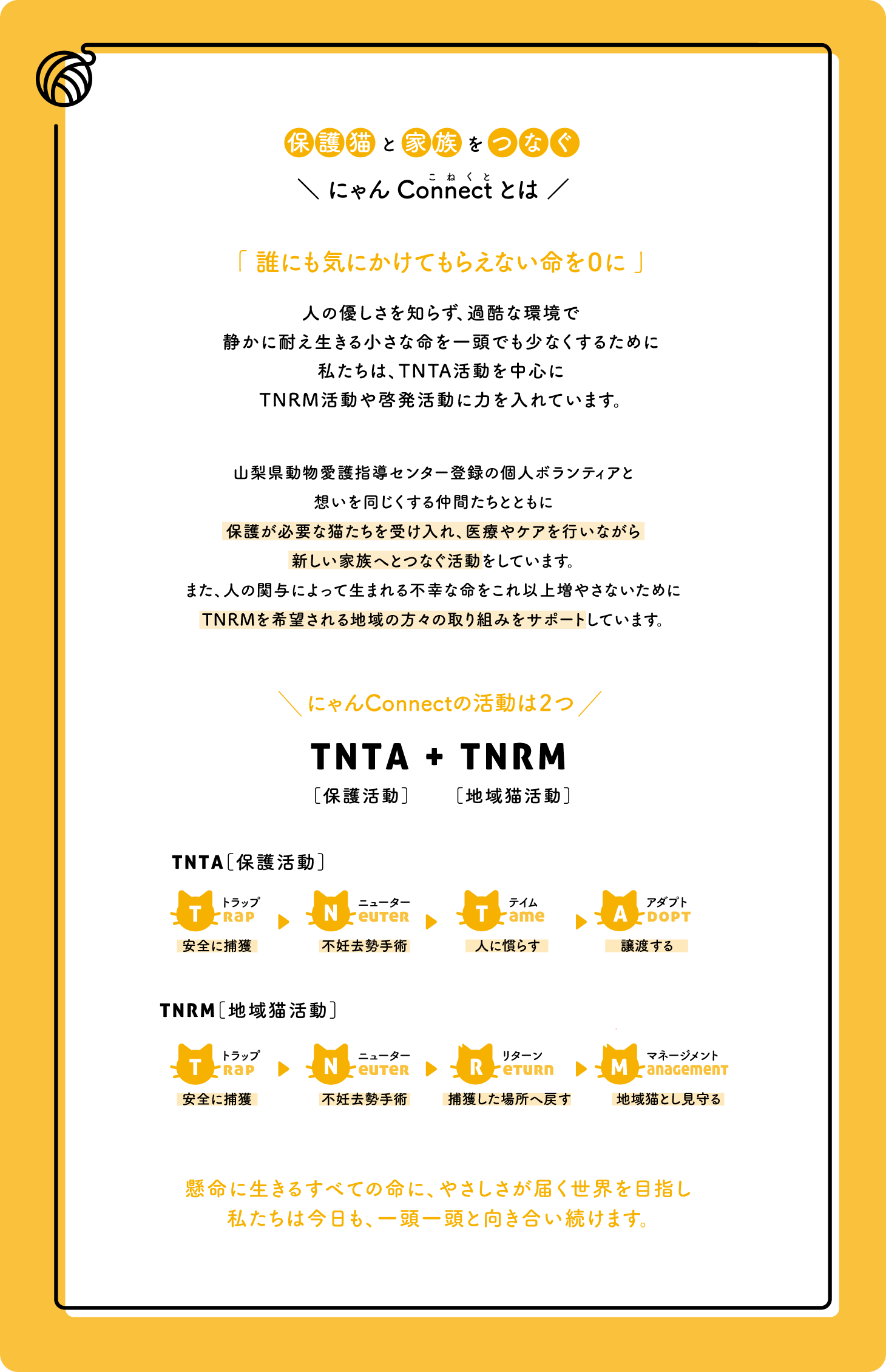 にゃんConnectとは：「 誰にも気にかけてもらえない命を０に 」人の優しさを知らず、過酷な環境で静かに耐え生きる小さな命を一頭でも少なくするために私たちは、tnrm活動を中心にTNRM活動や啓発活動に力を入れています。山梨県動物愛護指導センター登録の個人ボランティアと想いを同じくする仲間たちとともに保護が必要な猫たちを受け入れ、医療やケアを行いながら新しい家族へとつなぐ活動をしています。また、人の関与によって生まれる不幸な命をこれ以上増やさないためにTNRMを希望される地域の方々の取り組みをサポートしています。