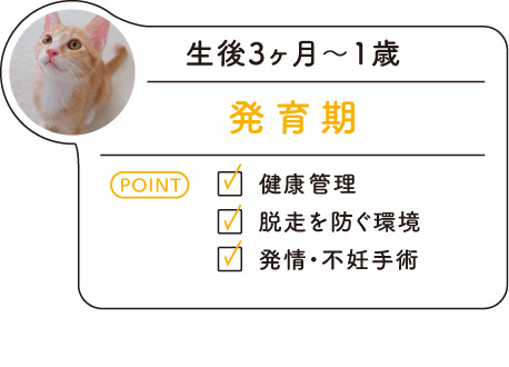 生後3ヶ月〜1歳「発育期」･･･＜POINT＞健康管理／脱走を防ぐ環境／発情・不妊手術