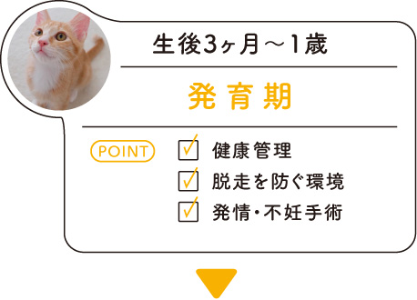 生後3ヶ月〜1歳「発育期」･･･＜POINT＞健康管理／脱走を防ぐ環境／発情・不妊手術
