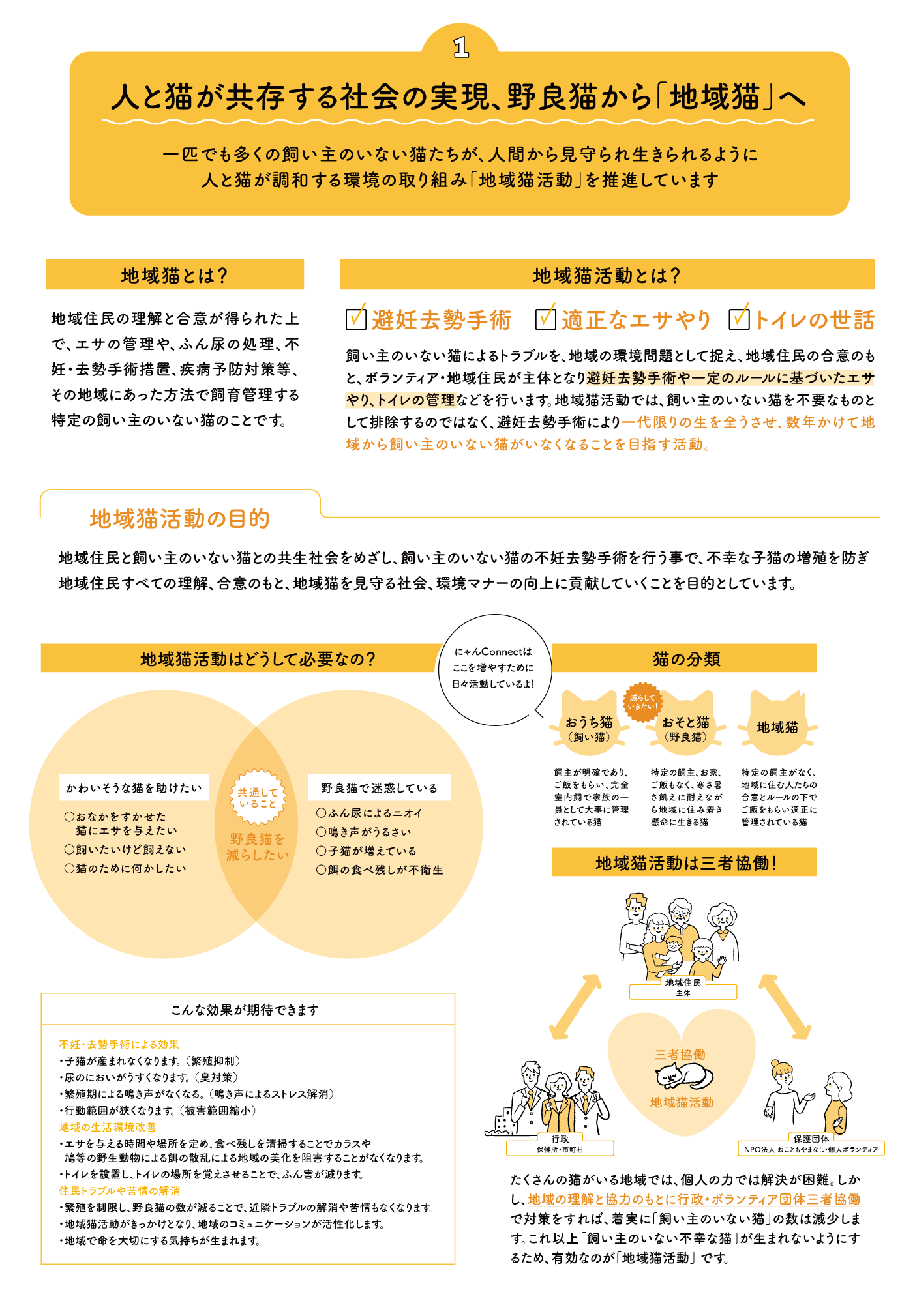 「人と猫が共存する社会の実現、野良猫から「地域猫」へ」一匹でも多くの飼い主のいない猫たちが、人間から見守られ生きられるように人と猫が調和する環境の取り組み「地域猫活動」を推進しています