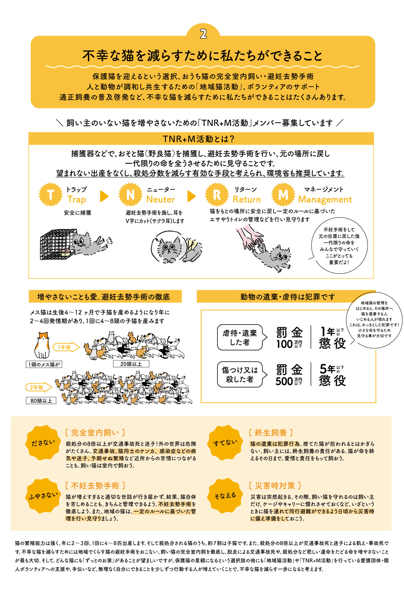 「不幸な猫を減らすために私たちができること」保護猫を迎えるという選択、おうち猫の完全室内飼い・避妊去勢手術人と動物が調和し共生するための「地域猫活動」、ボランティアのサポート適正飼養の普及啓発など、不幸な猫を減らすために私たちができることはたくさんあります。