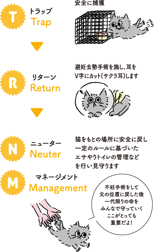 NR+M活動の図解