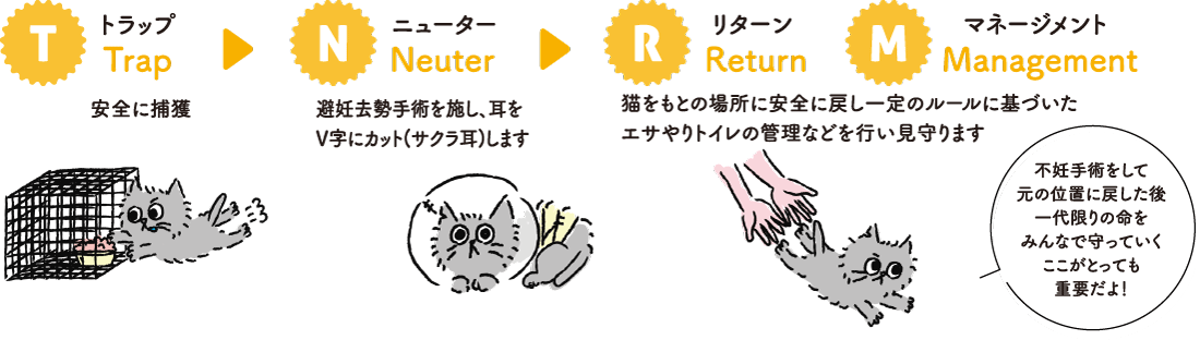 NR+M活動の図解